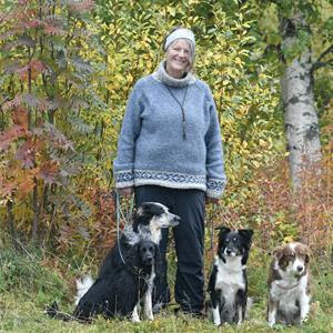Profilbild på Lena tillsammans med sina tre bordercollies.