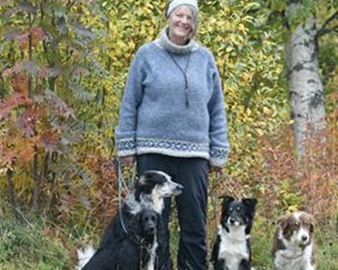 Profilbild på Lena tillsammans med sina tre bordercollies.
