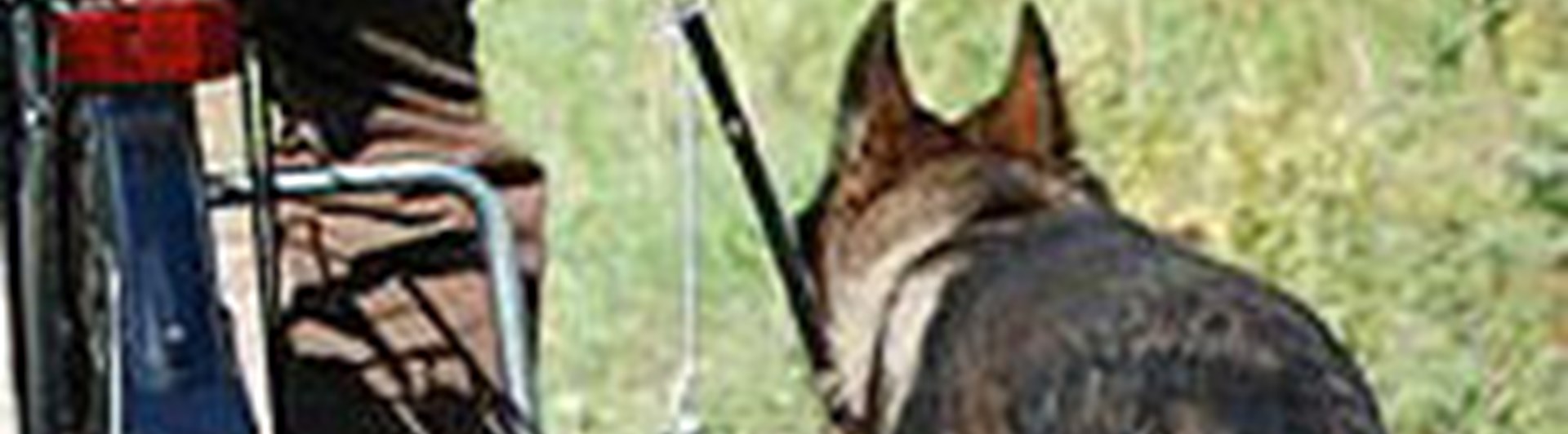 UHP schäfer vid cykel