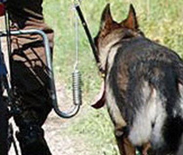 UHP schäfer vid cykel