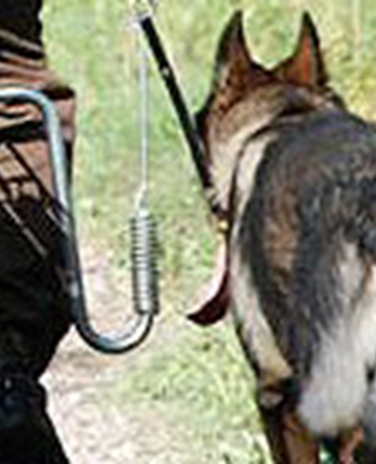 UHP schäfer vid cykel