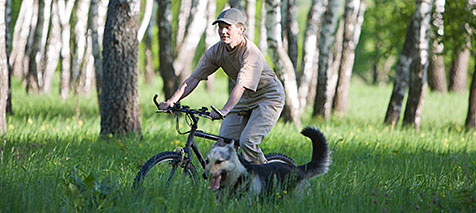 Cykling med hund i björkskog under ett uthållighetsprov (UHP)