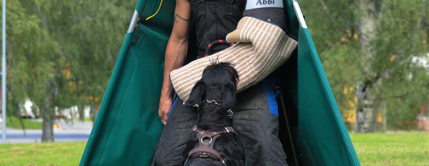 Riesen bevakar figurant i skul IGP