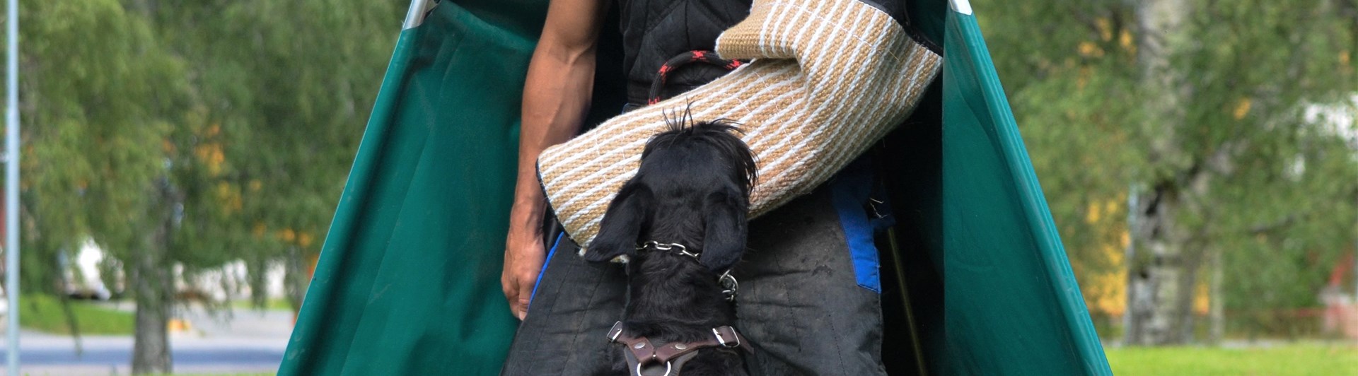 Riesen bevakar figurant i skul IGP