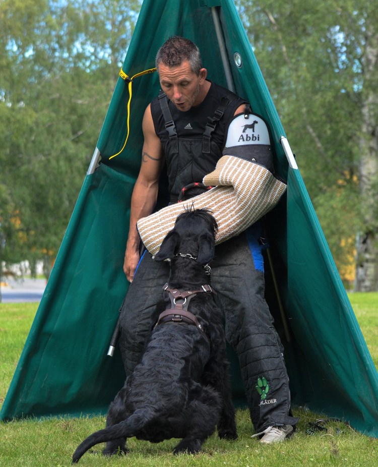Riesen bevakar figurant i skul IGP