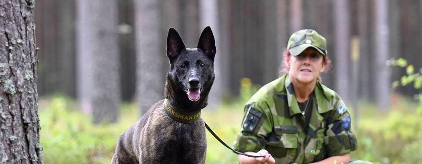 Patrullhund med förare