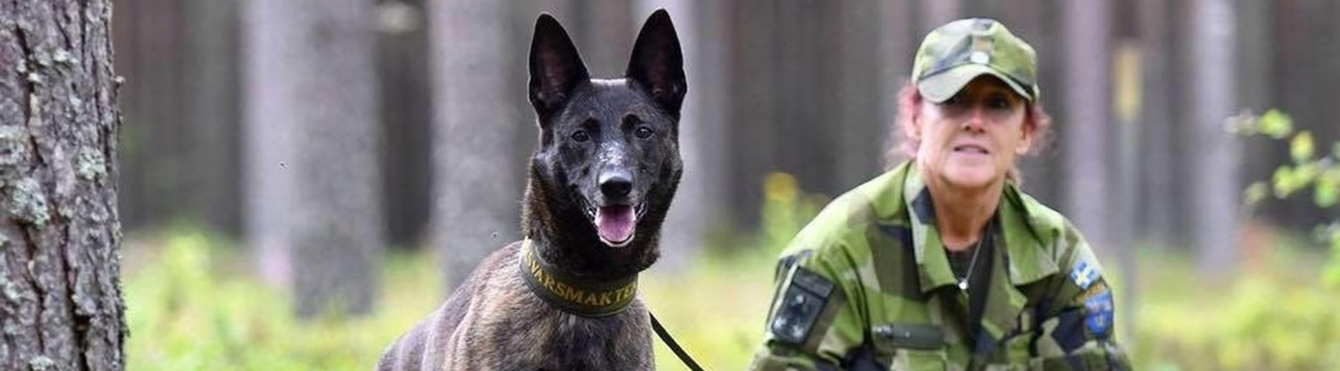 Patrullhund med förare