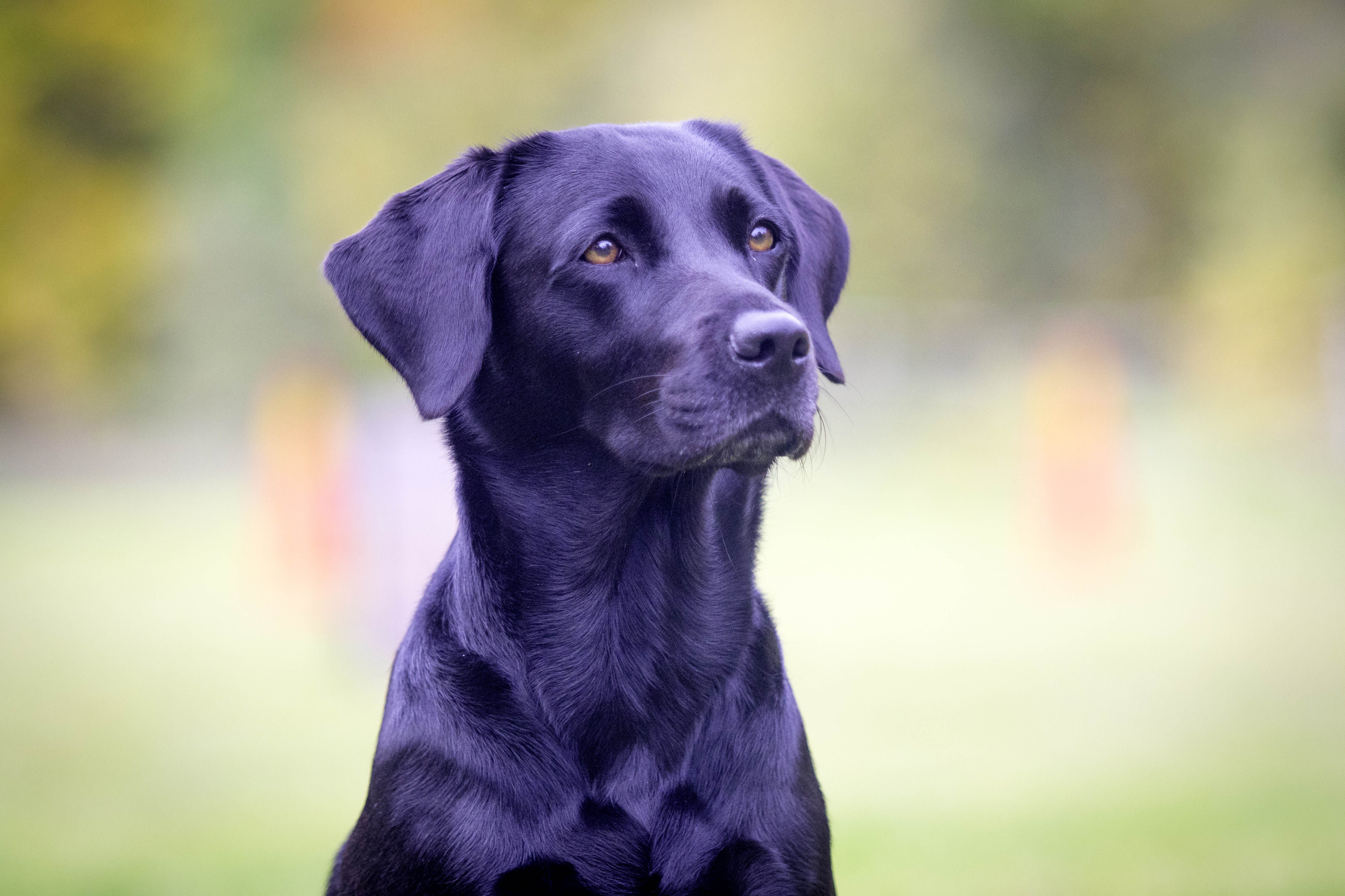 Fotograf Anna Wedin Andersson