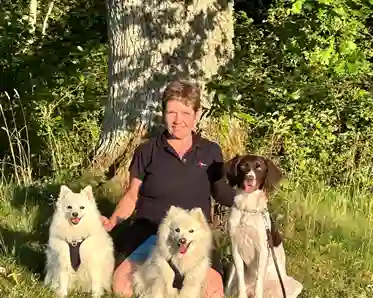 Instruktör med tre hundar
