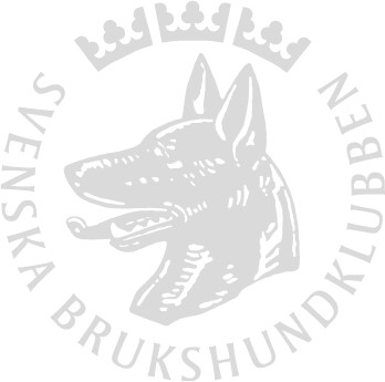SBK logotype grå