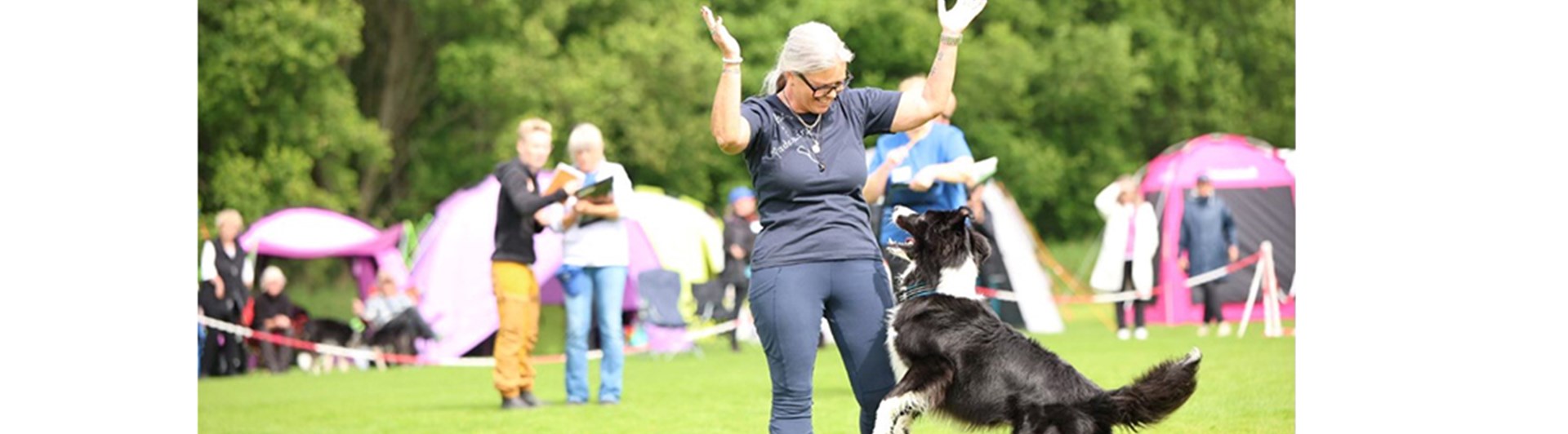 Foto på ett tävlande ekipage under SM i lydnad 2025