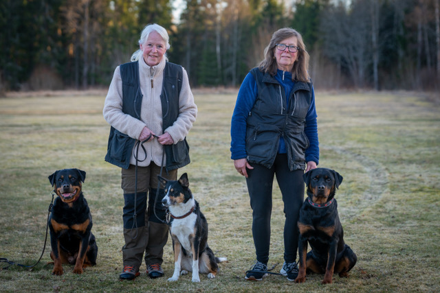 Årets ekipage bruks 2024.