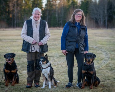 Årets ekipage bruks 2024.