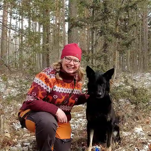 Matte och hund som sitter i skogen