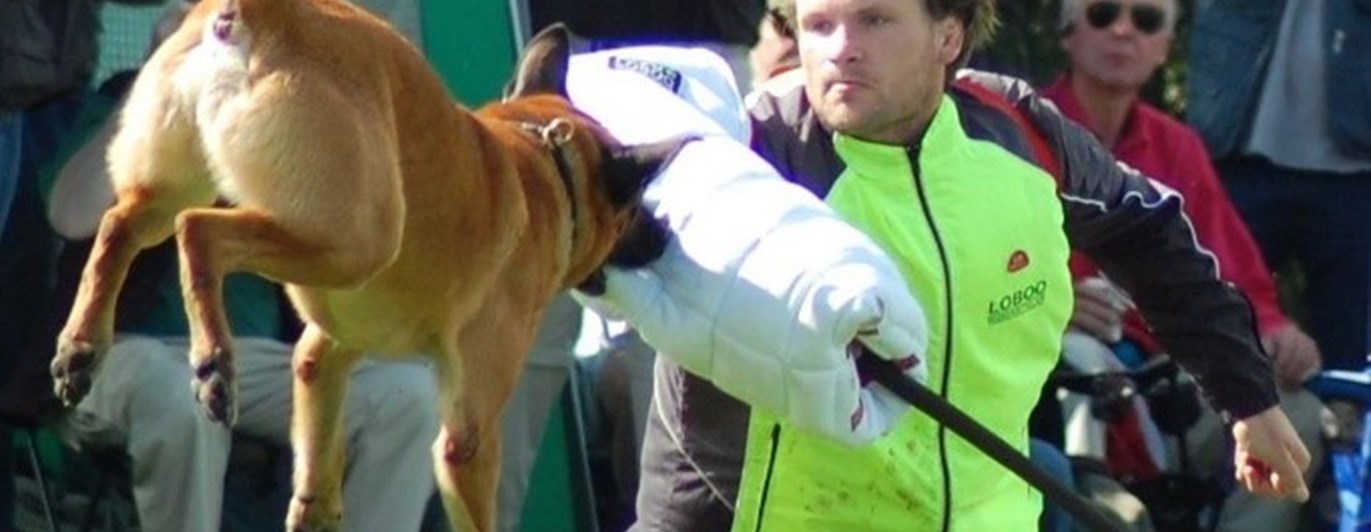 Malle i luften biter skyddsärm