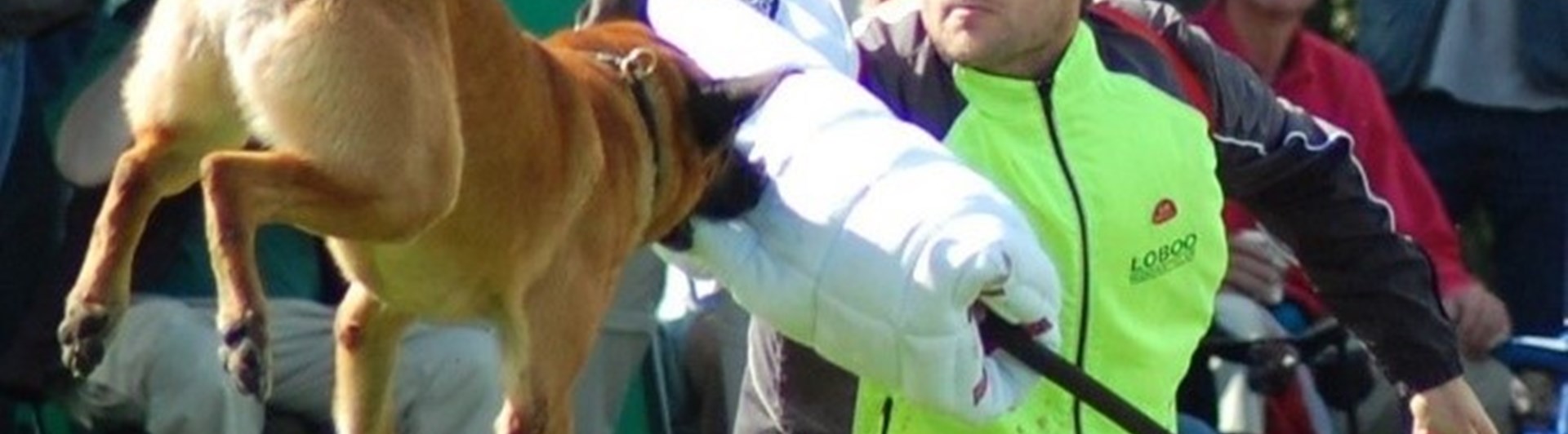 Malle i luften biter skyddsärm