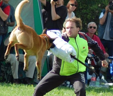 Malle i luften biter skyddsärm