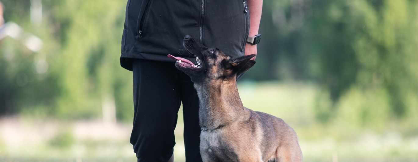 Malle tiken 9:an går fot med sin matte Anna.