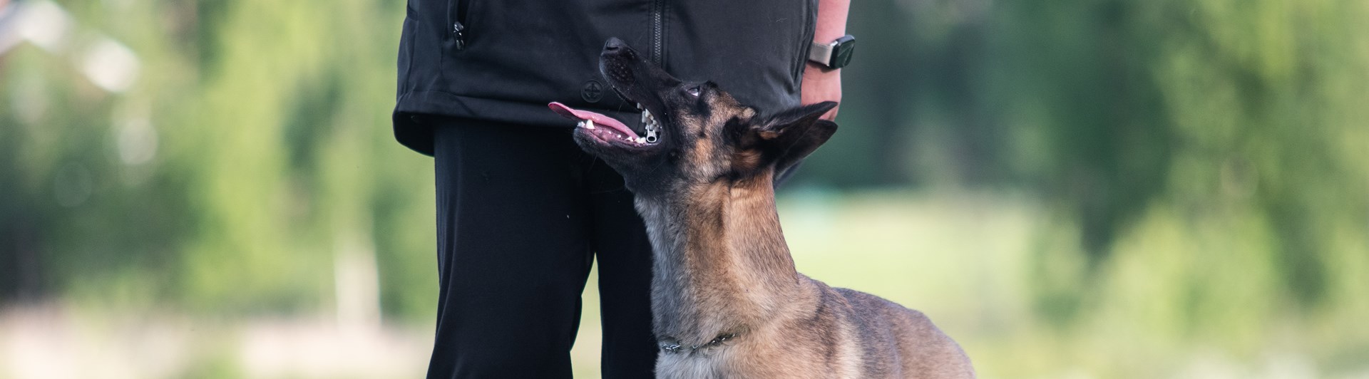 Malle tiken 9:an går fot med sin matte Anna.