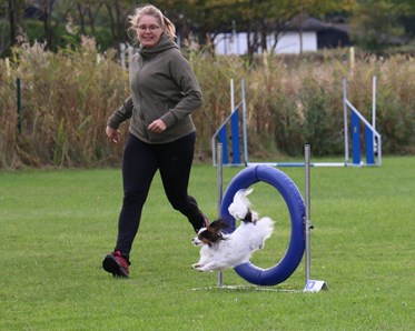 Ett tävlingsekipage i tävling agility