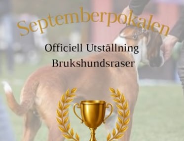 Utställning