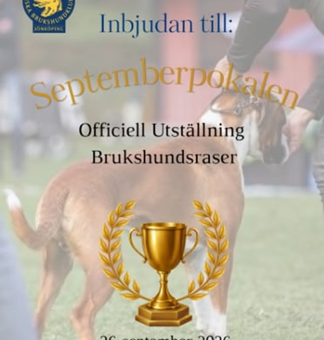 Utställning
