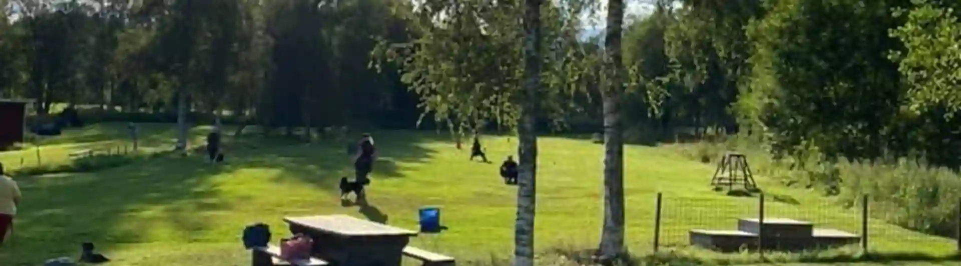En solig sommardag med flera ekipage på träningsplanen. En förare ligger i skuggan tillsammans med sin hund i gräset och kollar på dem andra. 