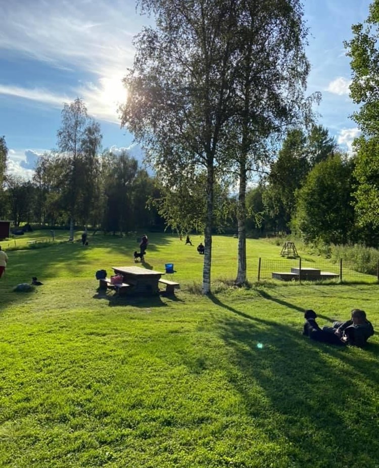 En solig sommardag med flera ekipage på träningsplanen. En förare ligger i skuggan tillsammans med sin hund i gräset och kollar på dem andra.