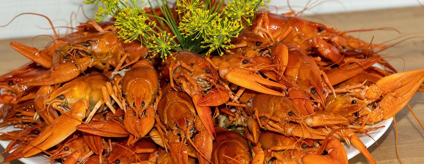 Kräftor på ett fat