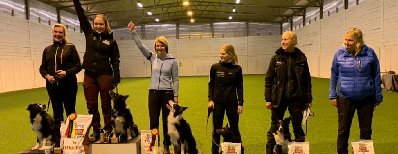 Prispall efter rankingtävling i lydnad