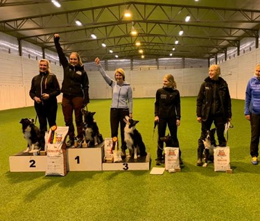 Prispall efter rankingtävling i lydnad