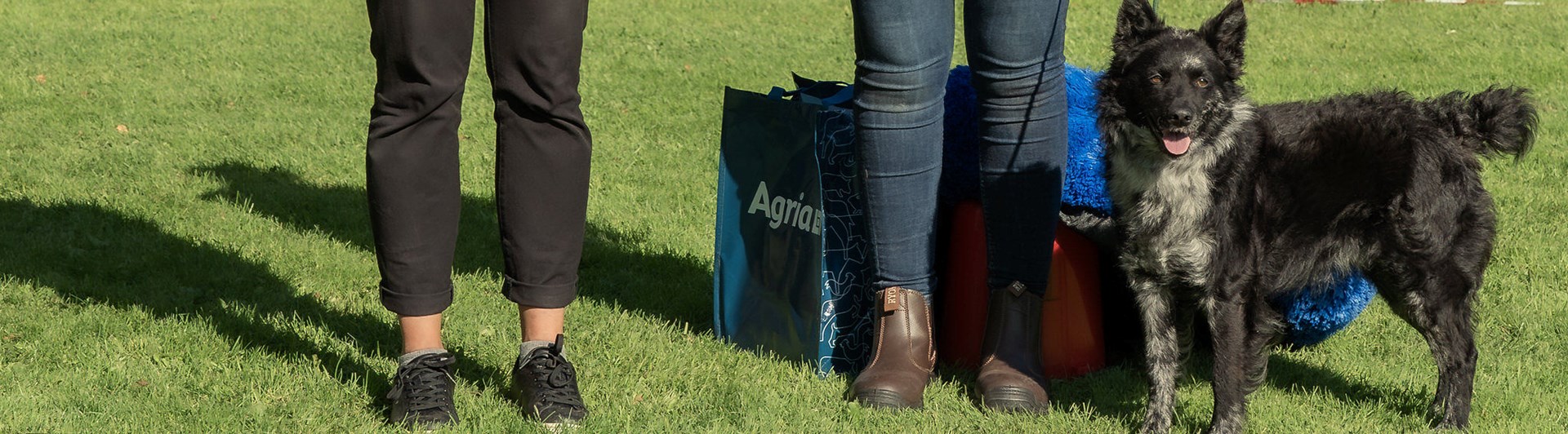 BIS vinnare 2024, en mudi