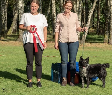 BIS vinnare 2024, en mudi