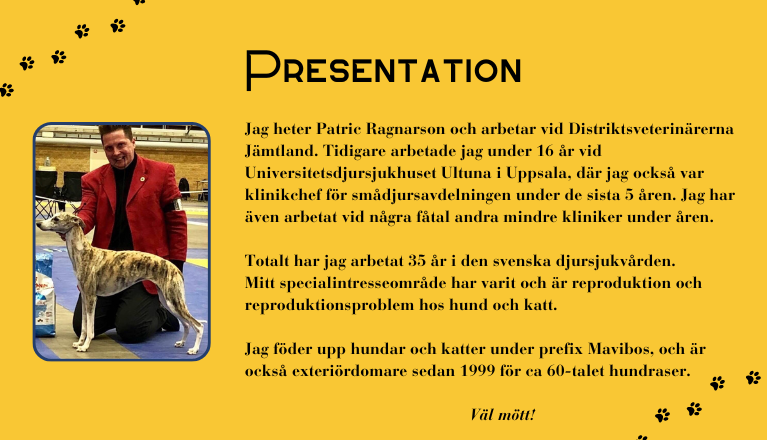 Kafé Hundsnack Presentation