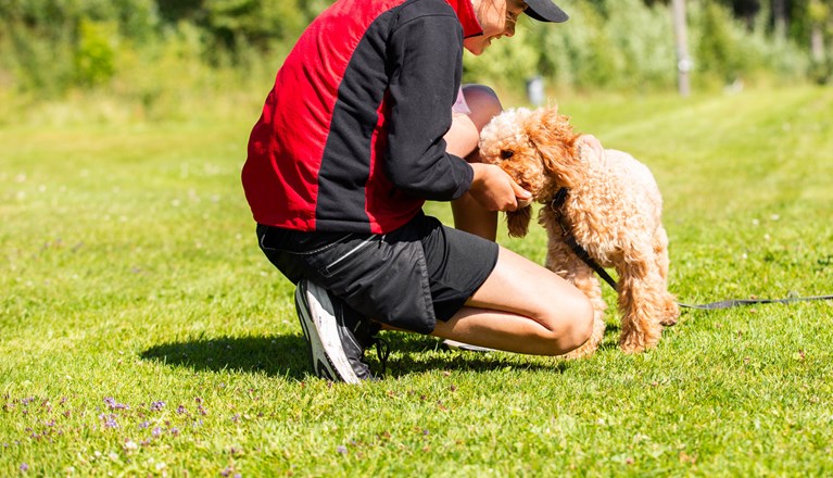 Barn med hund