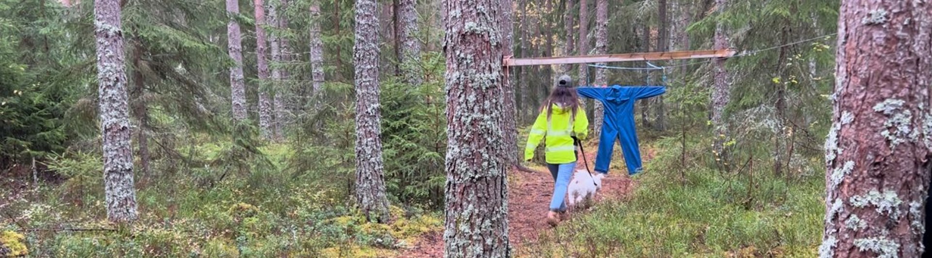 Pumi på MH i Hällefors