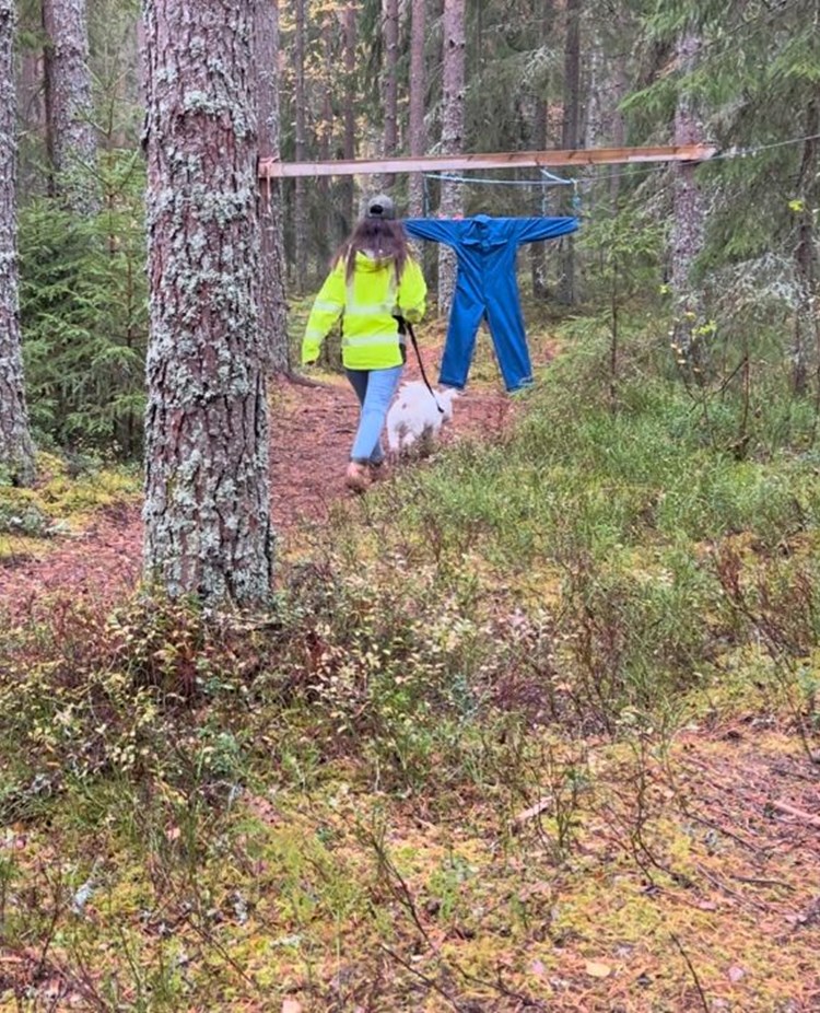 Pumi på MH i Hällefors