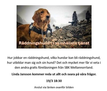 Föreläsning - räddningshund