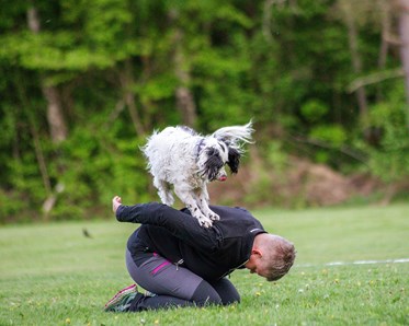 Hund hoppar upp på sin människas rygg
