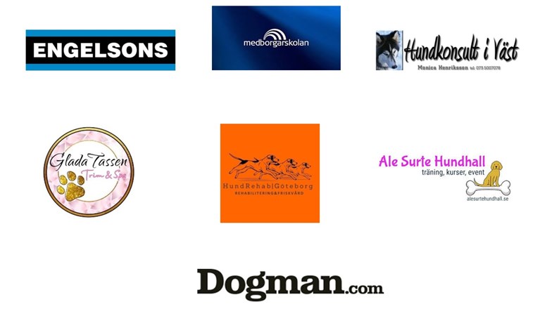 7 sponsorloggor på en bild