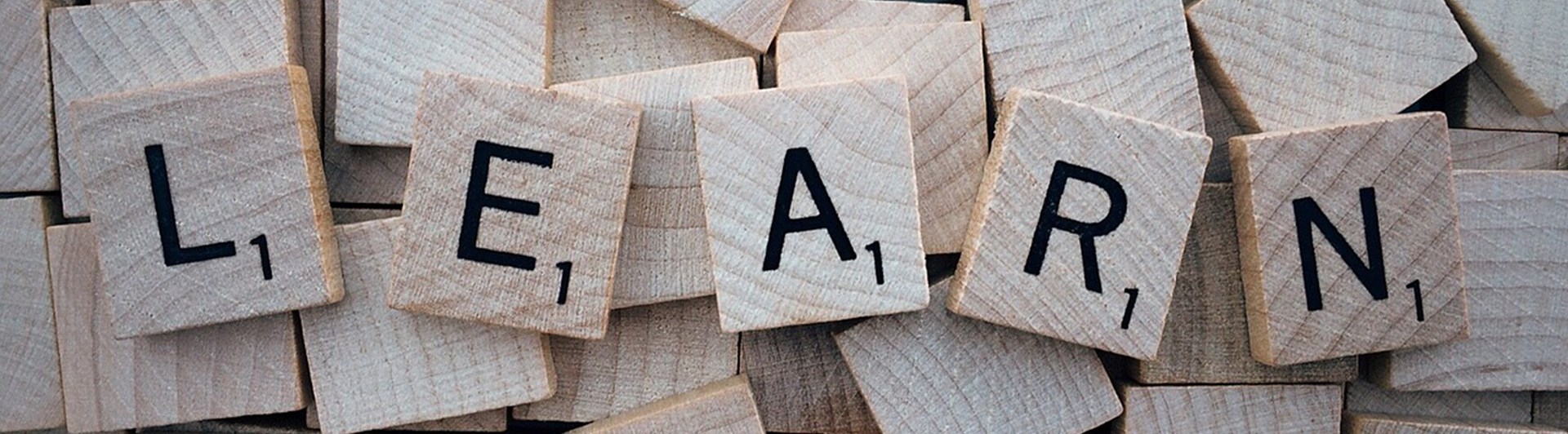 LEARN - ordbrickor