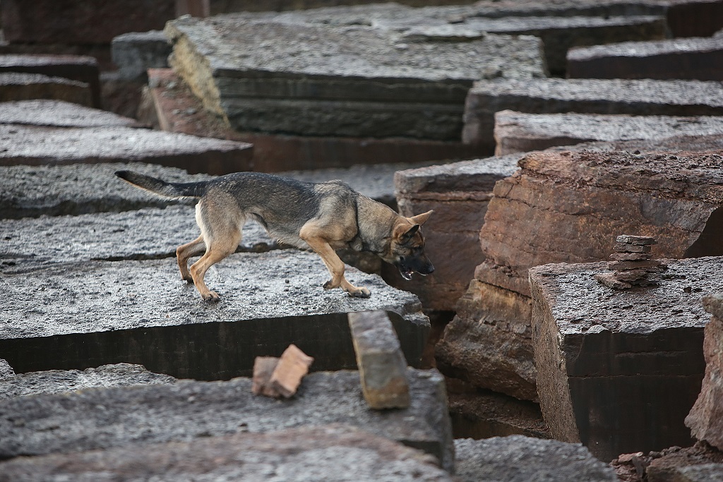 Fotograf: Christian Björses