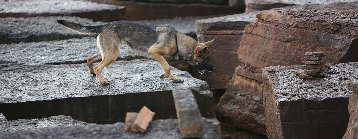 Fotograf: Christian Björses