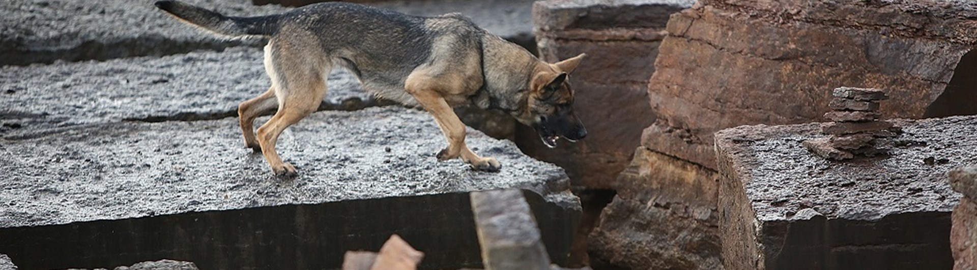 Fotograf: Christian Björses