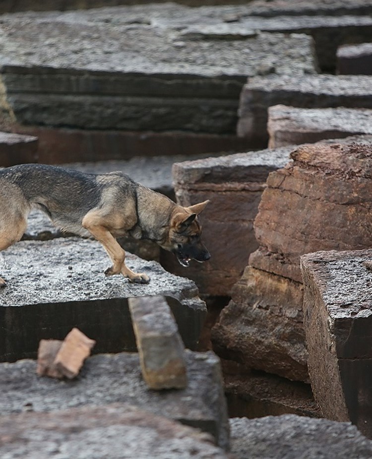 Fotograf: Christian Björses