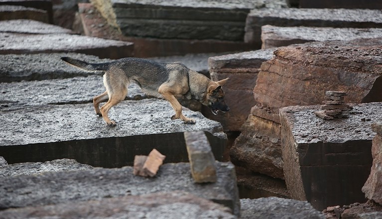 Fotograf: Christian Björses
