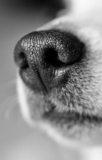 Kontakta specialsök