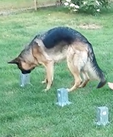 markering i urvalsbana för specialsök