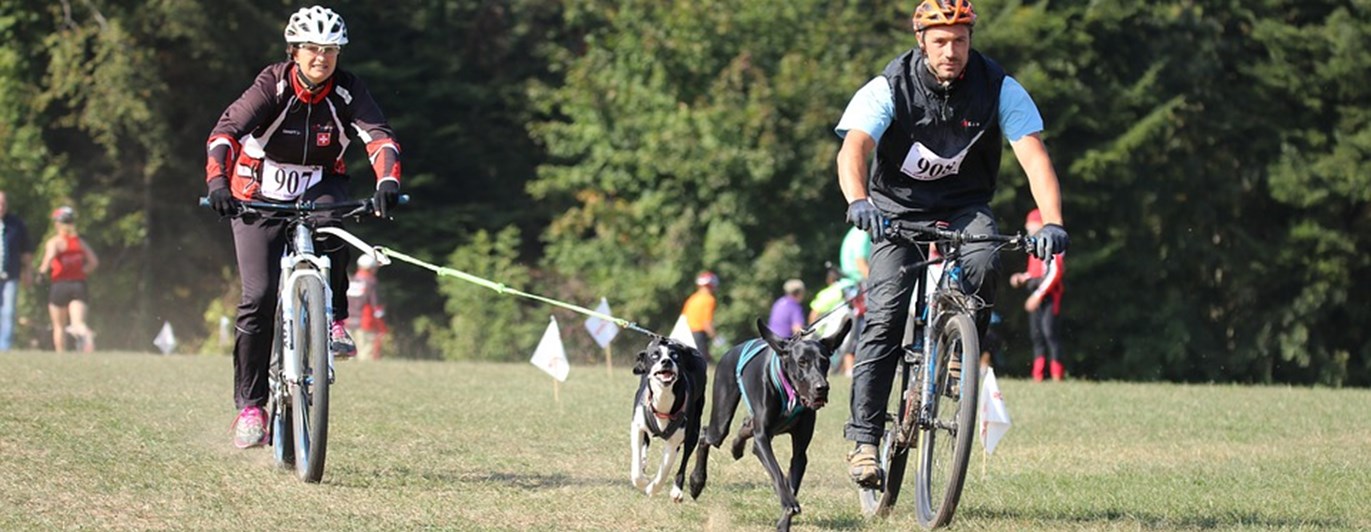 Barmarksdrag med cykel