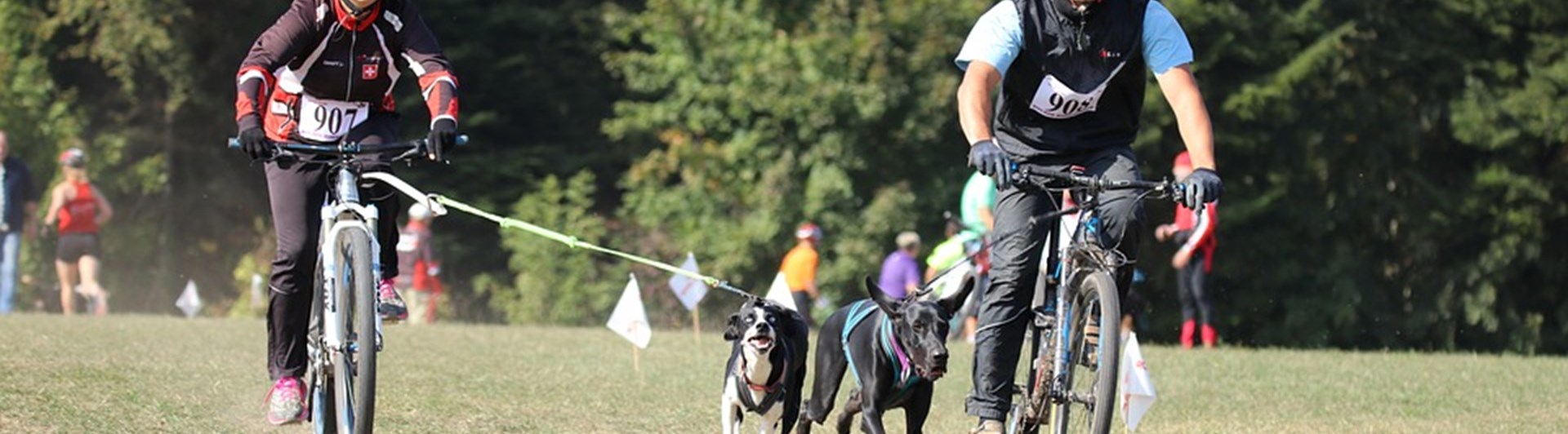 Barmarksdrag med cykel